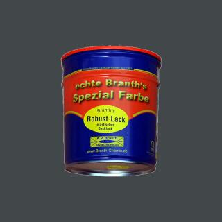 Branths Robust paint (quick drying) can 0.75 l dark gray RAL 7011