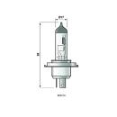 Bulb Osram Bilux 12V 60 / 55W socket P43t