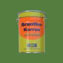 Brantho Korrux "nitrofest" 5 liter container lime green / reseda green RAL 6011